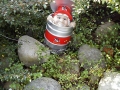 nz-DSC02606