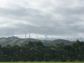 nz-DSC08785
