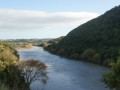 nz-DSC08786