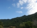 nz-DSC08789