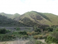 nz-DSC08790