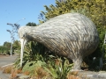 nz-DSC08798
