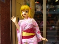 jap-DSC03364