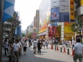 jap-IMG_2891