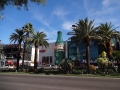 DSC00725