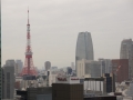 thumb_DSC00525_1024
