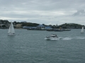 nz-DSC08546