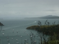 nz-DSC08561