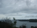 nz-DSC08575