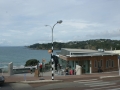 nz-DSC08593