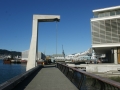 nz-DSC08813