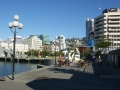 nz-DSC08829