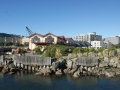 nz-DSC08830