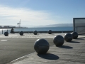 nz-DSC08832