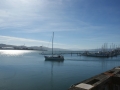 nz-DSC08872