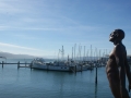 nz-DSC08874