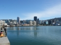 nz-DSC08875