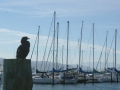 nz-DSC08876