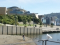 nz-DSC08880