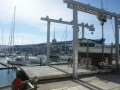 nz-DSC08881