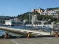 nz-DSC08882