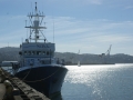 nz-DSC08883