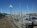 nz-DSC08885