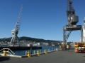 nz-DSC08806