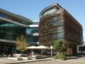 nz-DSC08818
