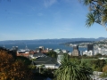 nz-DSC08907