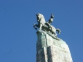 nz-DSC08928