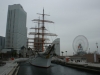 DSC08473.jpg
