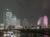 DSC08487.jpg