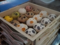 thumb_DSC09057_1024