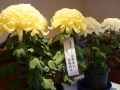 thumb_DSC09007_1024