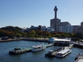 thumb_DSC09015_1024