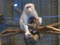kl-DSC06471