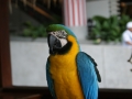 kl-DSC06493