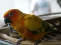 kl-DSC06503